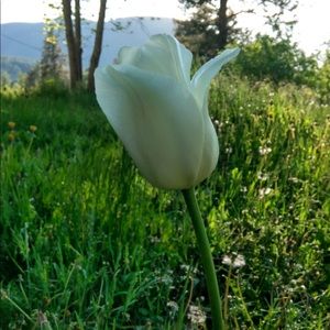 Meet your Posher, Ellie